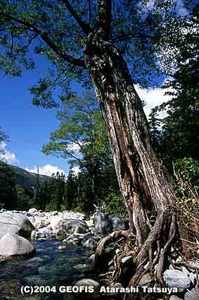 b0007284_16153033.jpg