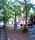 b0021441_22495258.jpg