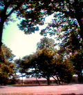 b0021441_21451835.jpg
