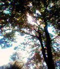 b0021441_2145415.jpg