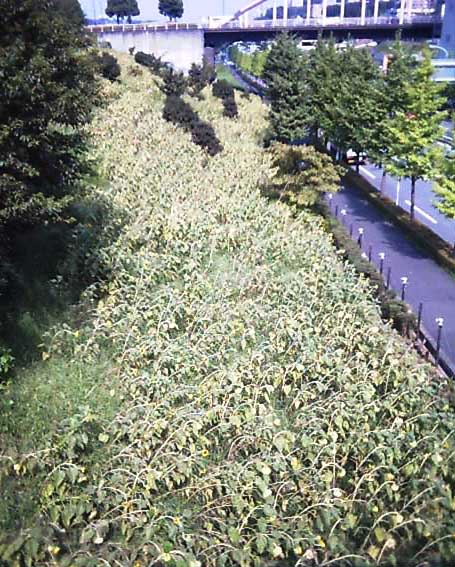 a0019601_1312919.jpg