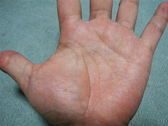 a0015730_22124934.jpg