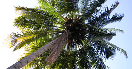 b0016623_1582484.jpg