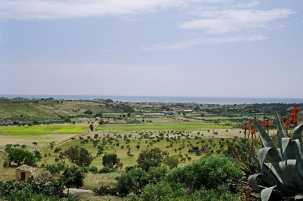 b0025850_11920.jpg