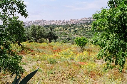 b0025850_144716.jpg