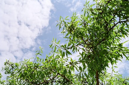 b0025850_174523.jpg