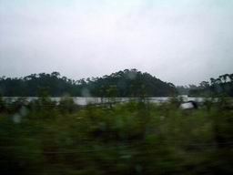 b0005001_21271318.jpg