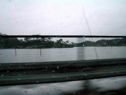b0005001_2134930.jpg