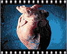 話題騒然、米国初の『Body Worlds』展_a0028694_22305488.gif