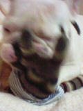 b0034595_12564366.jpg