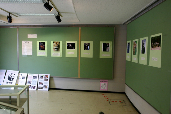 写真展_b0016600_20195772.jpg