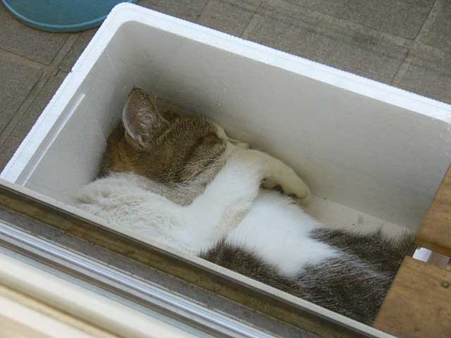 楽しき我が家 武豊騎手 大好き