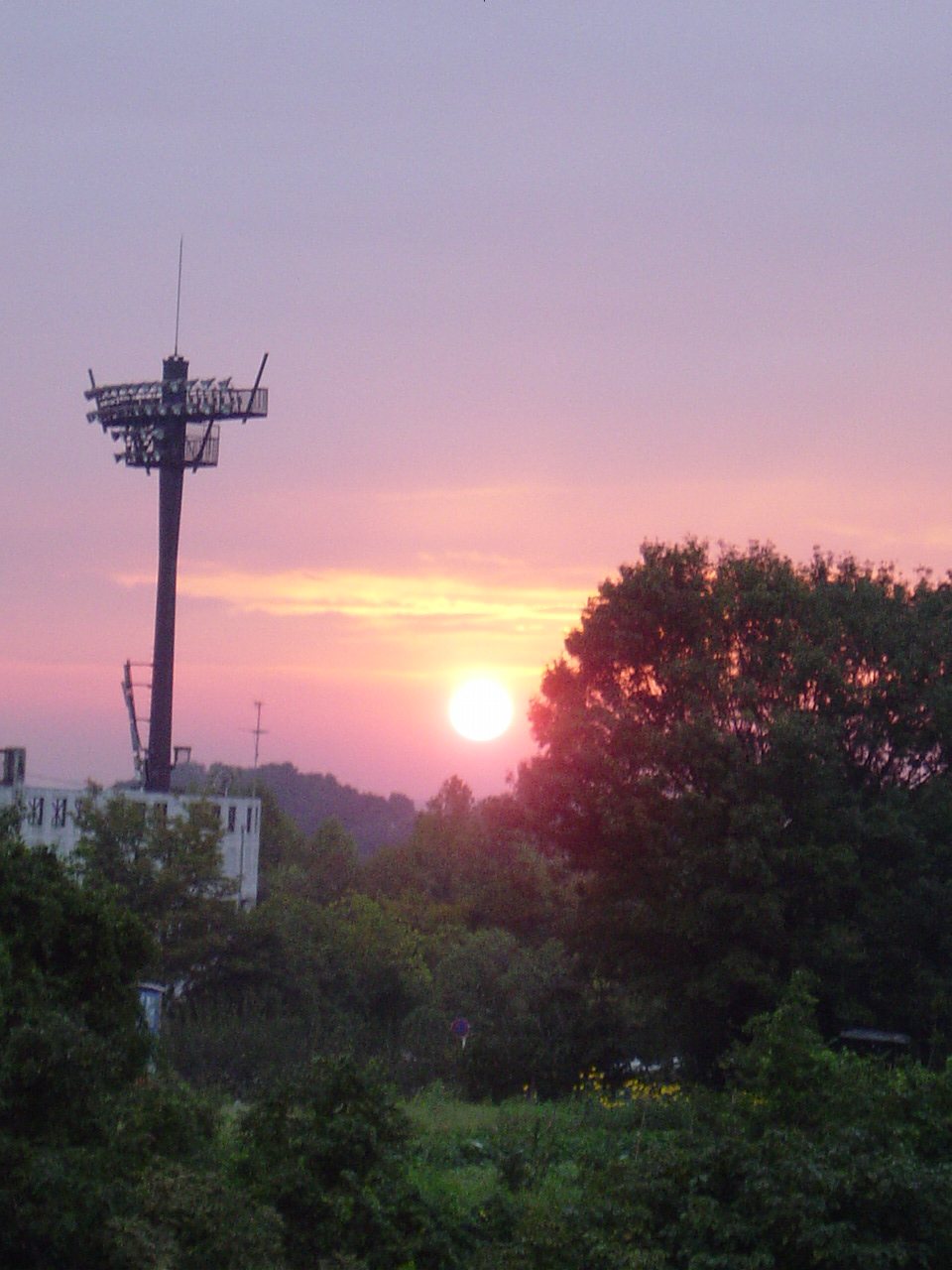 a0023786_2025857.jpg