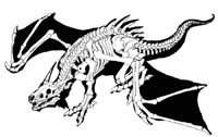 ドラゴン骨格 釣り日記
