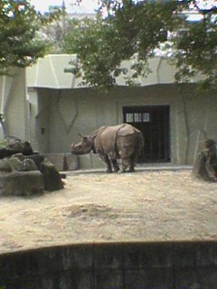 a0004744_23502215.jpg