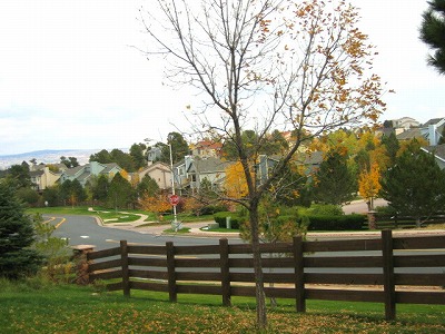 b0034565_741257.jpg