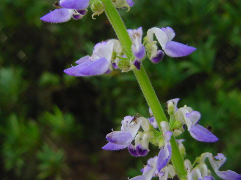 a0015815_23222458.jpg