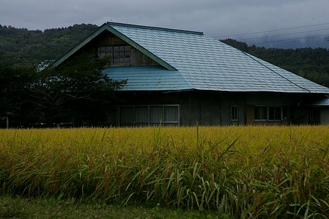 農家_b0044291_23214960.jpg