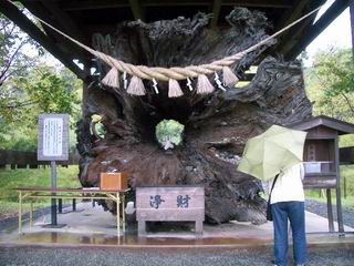b0005001_23145962.jpg