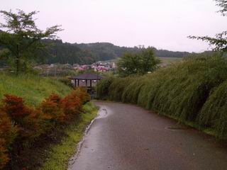 b0005001_23161428.jpg
