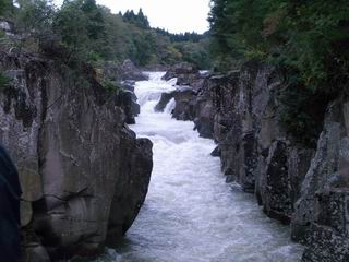b0005001_23183821.jpg