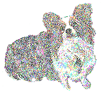 犬イラストの作り方_b0014478_152148.gif