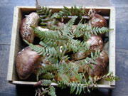 b0033490_19373377.jpg