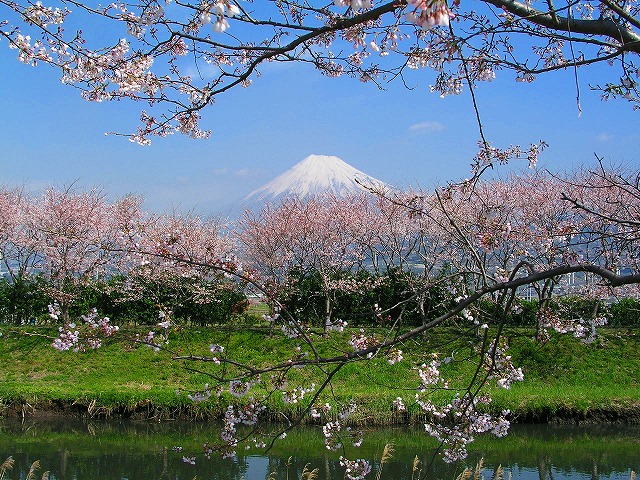 富士山麓仲間の会　_b0034138_1181846.jpg