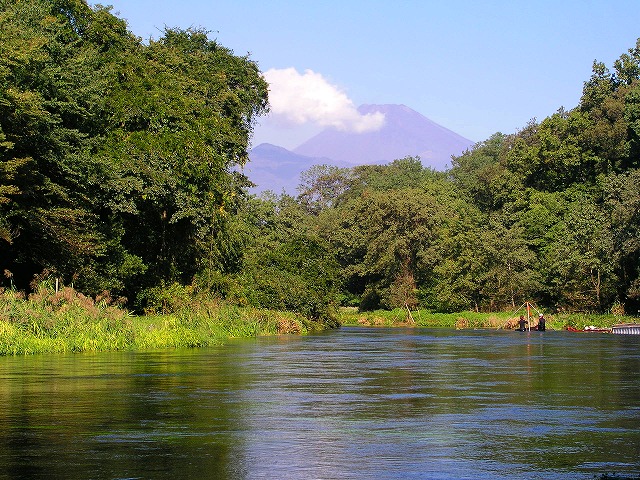 東洋一の柿田川湧水_b0034138_18432411.jpg