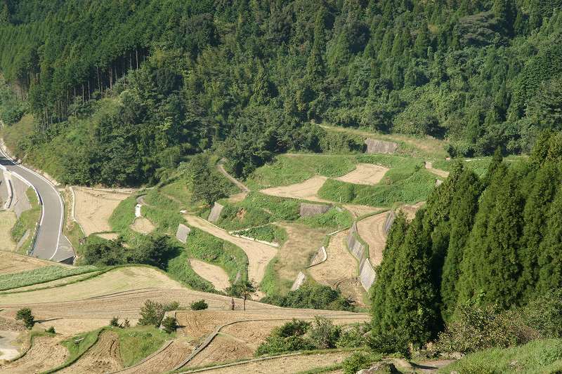 佐賀県相知(おうち)町の棚田　蕨野(わらびの)_b0028500_935436.jpg