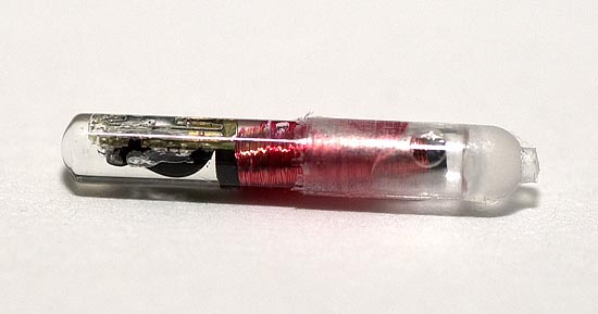 ★見てみよう⇒これが米国承認の体内埋め込みIDチップだ_b0013789_582553.jpg