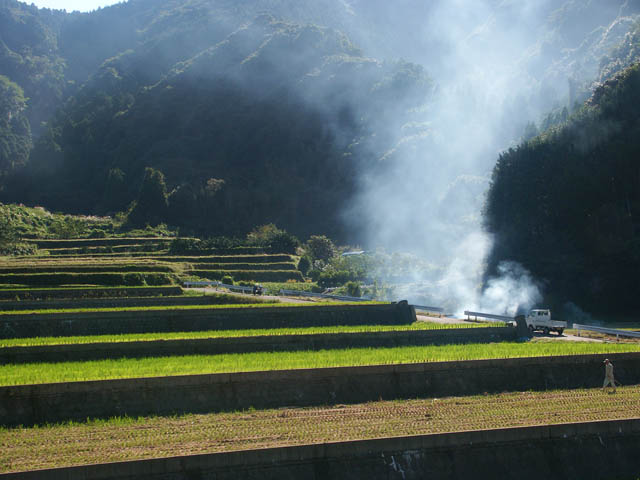 蕨野の棚田　（０４，１０／１６）_b0021244_2223556.jpg