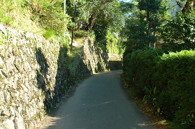 b0010162_81577.jpg