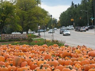 b0034565_12553857.jpg