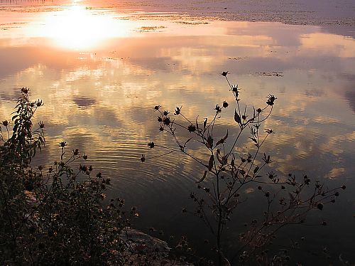 a0024305_7104148.jpg
