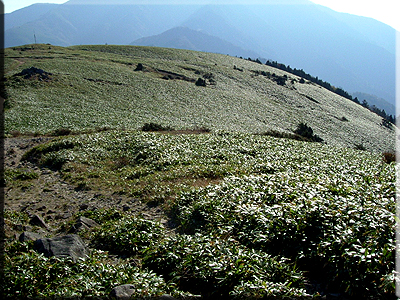 a0020010_21563627.jpg