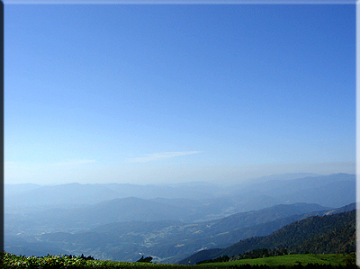 a0020010_2218285.jpg