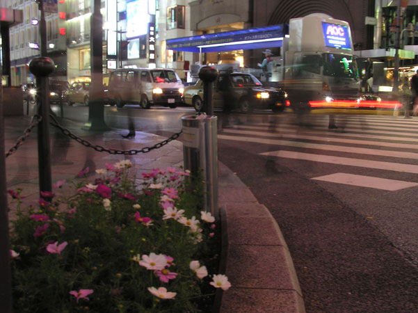 銀座の夜はこれから_a0035442_134747100.jpg