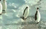 a0015730_013728.gif