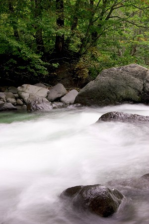 a0020901_1724408.jpg