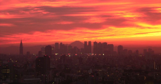 b0046290_036338.jpg