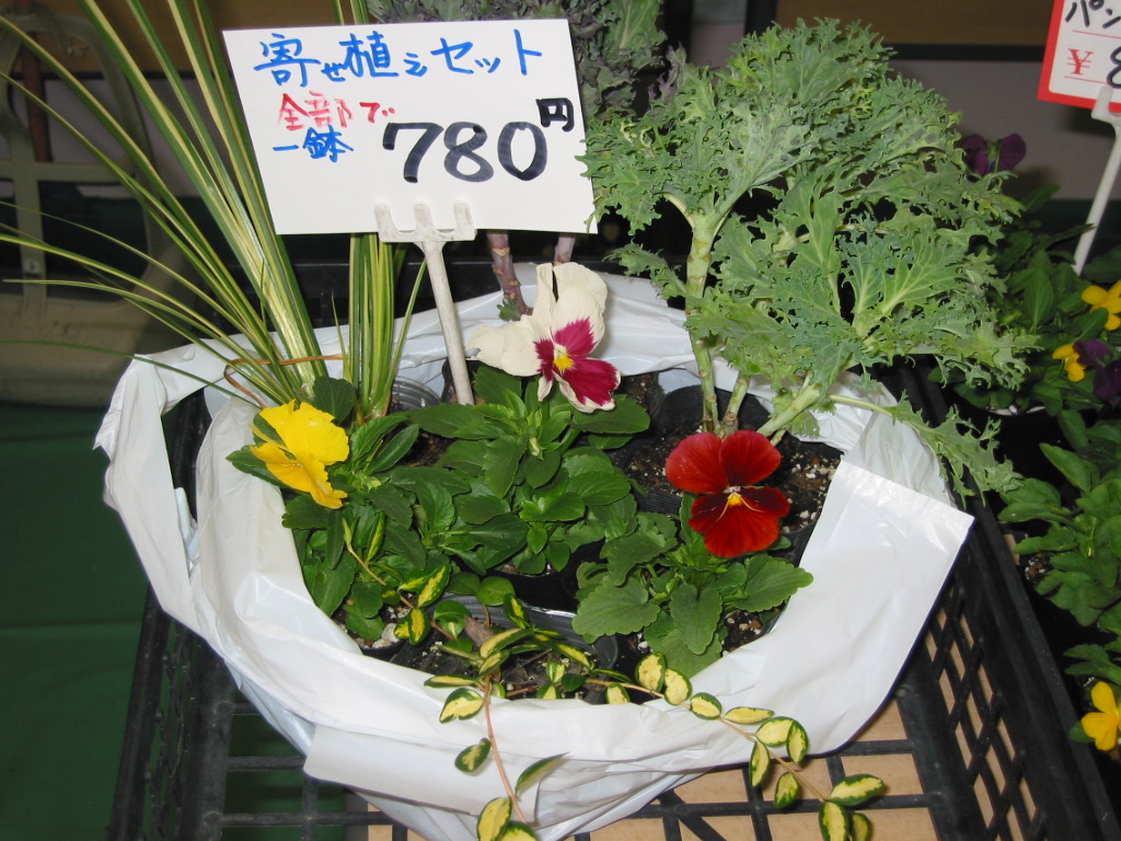 b0014336_1605199.jpg