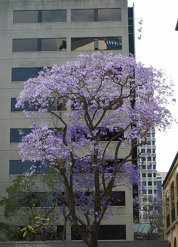 b0042293_3154481.jpg