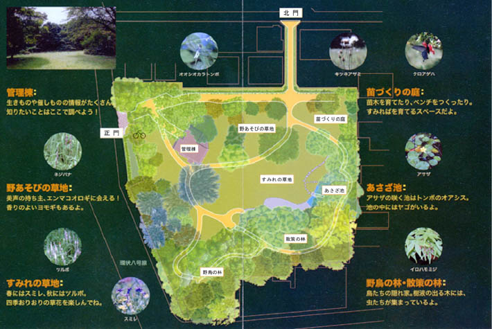 すみれば自然庭園の中は・・?!_b0049307_23492557.jpg