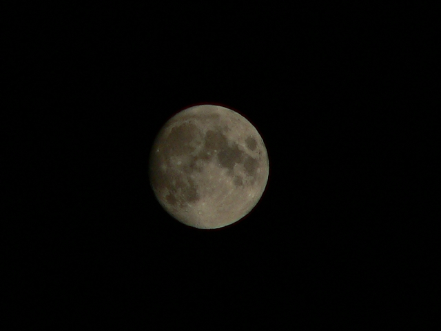 a0024167_21571659.jpg