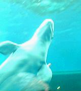 a0021608_1942331.jpg