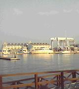 a0021608_1944447.jpg