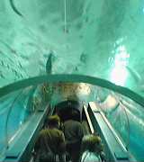 a0021608_1951842.jpg