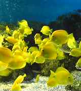 a0021608_1953960.jpg