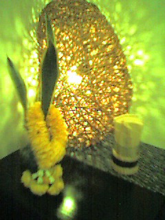 a0026371_17504236.jpg